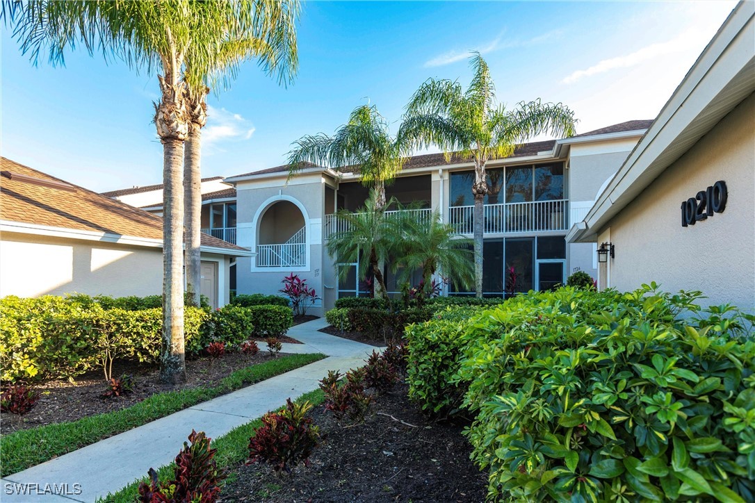 10210 Washingtonia Palm WAY 1723
