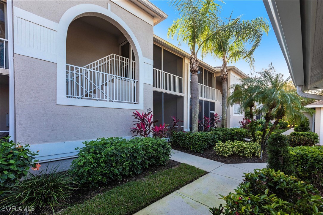10210 Washingtonia Palm WAY 1723