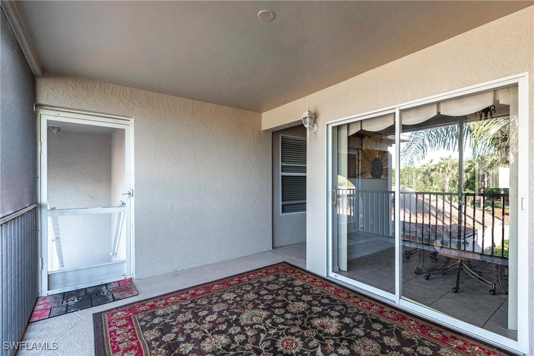 10210 Washingtonia Palm WAY 1723