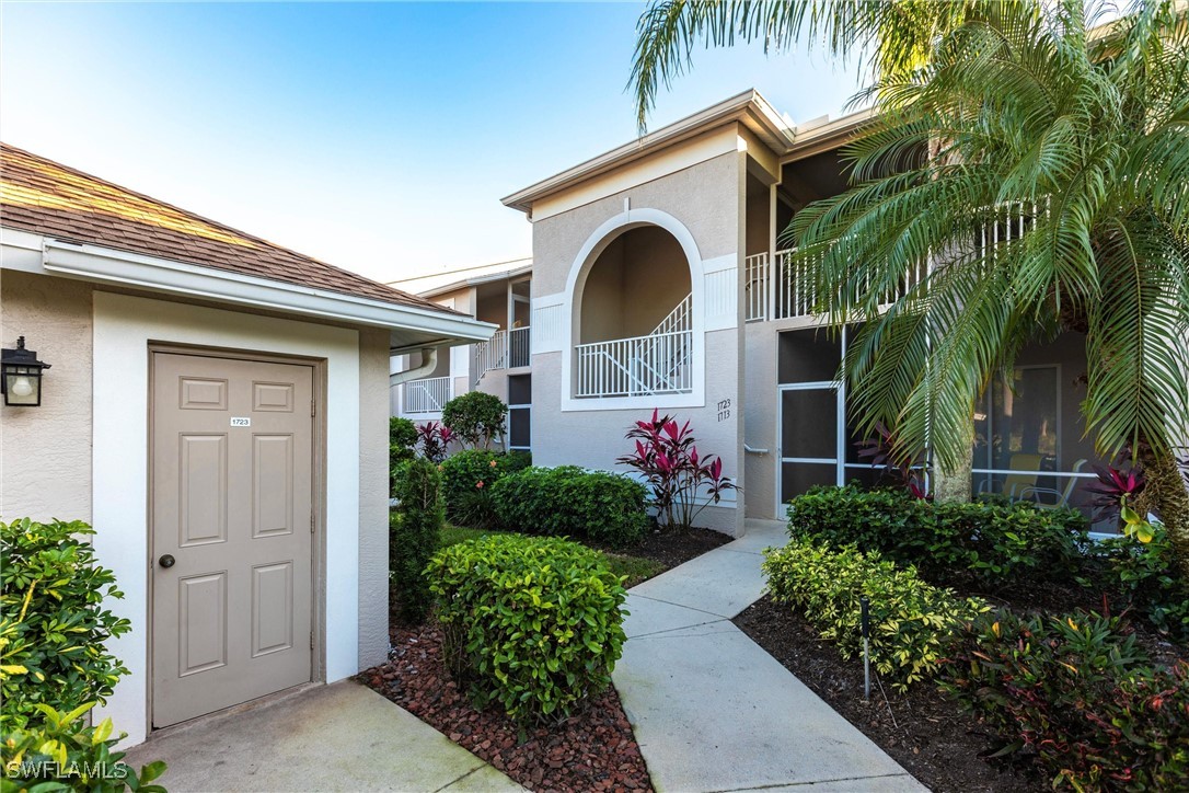 10210 Washingtonia Palm WAY 1723