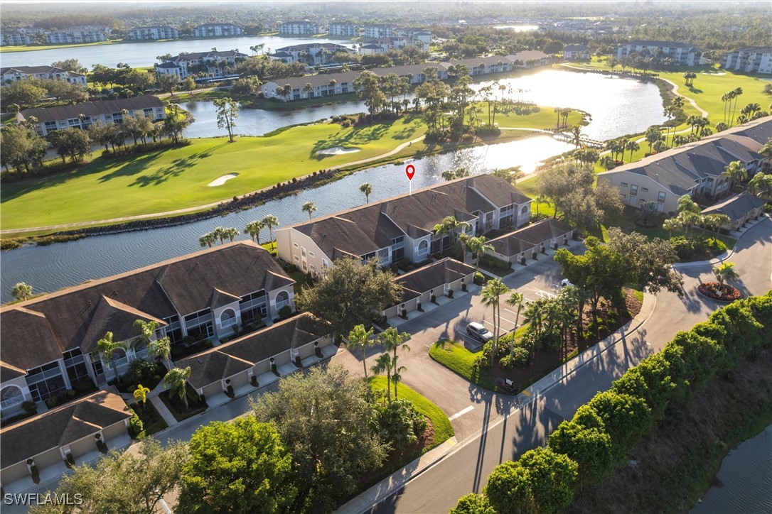 10210 Washingtonia Palm WAY 1723