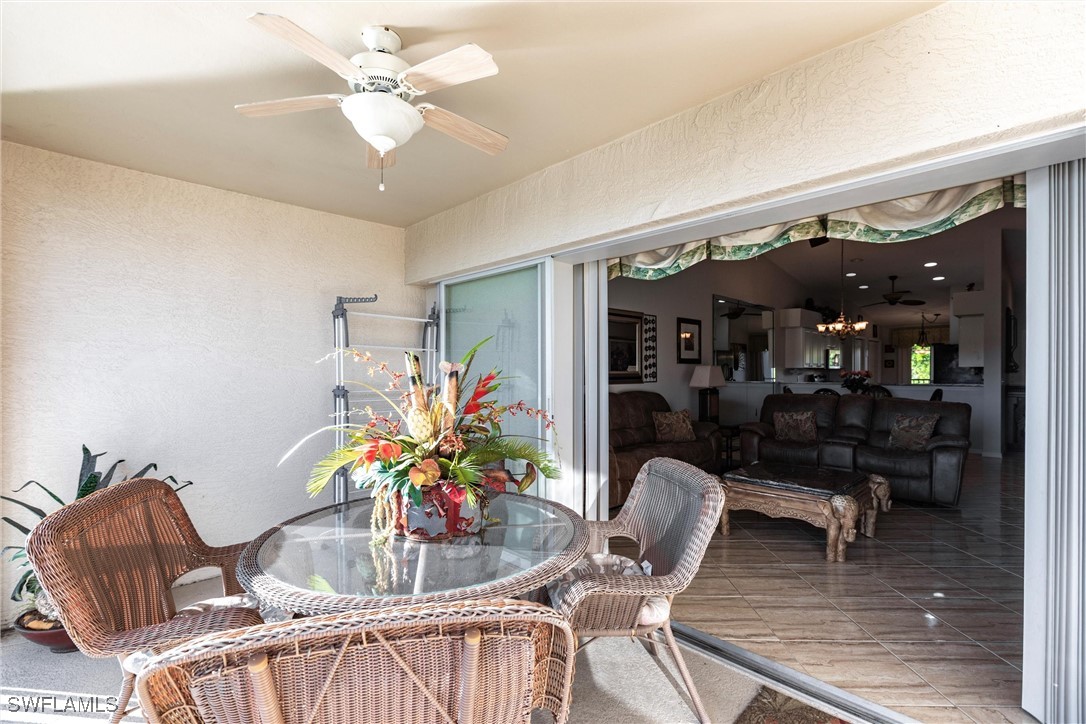 10210 Washingtonia Palm WAY 1723