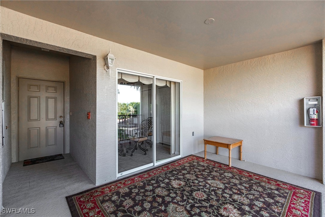10210 Washingtonia Palm WAY 1723