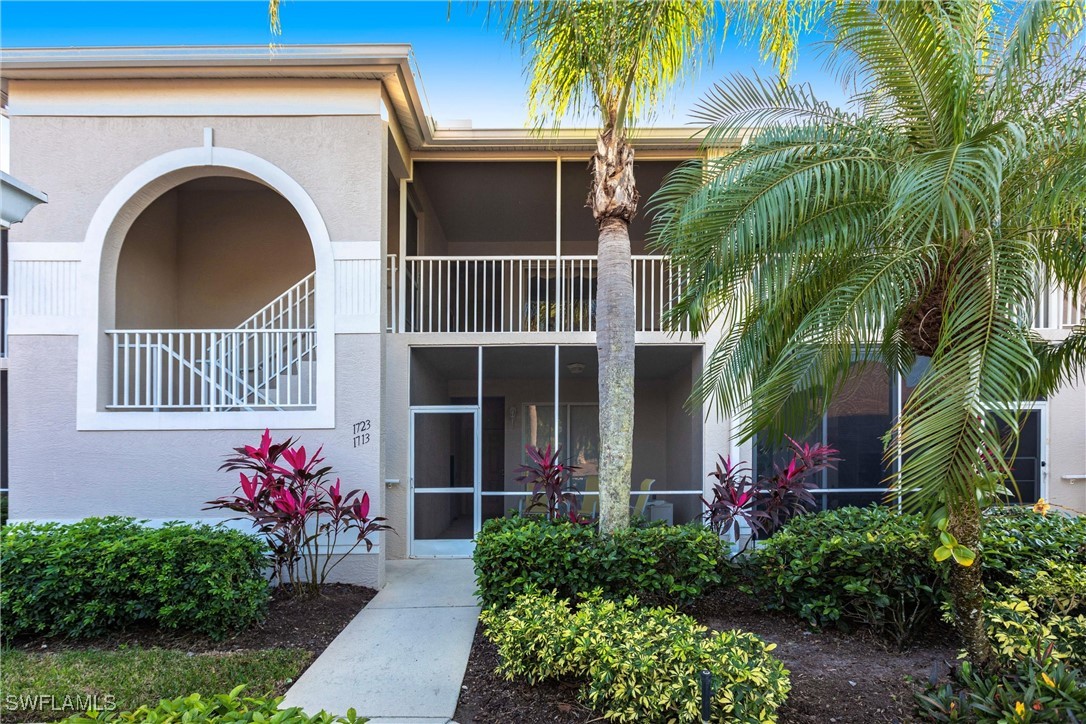 10210 Washingtonia Palm WAY 1723