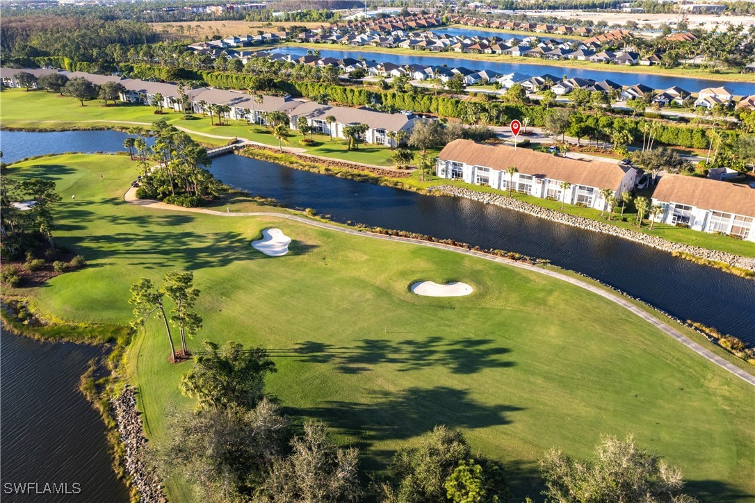 10210 Washingtonia Palm WAY 1723