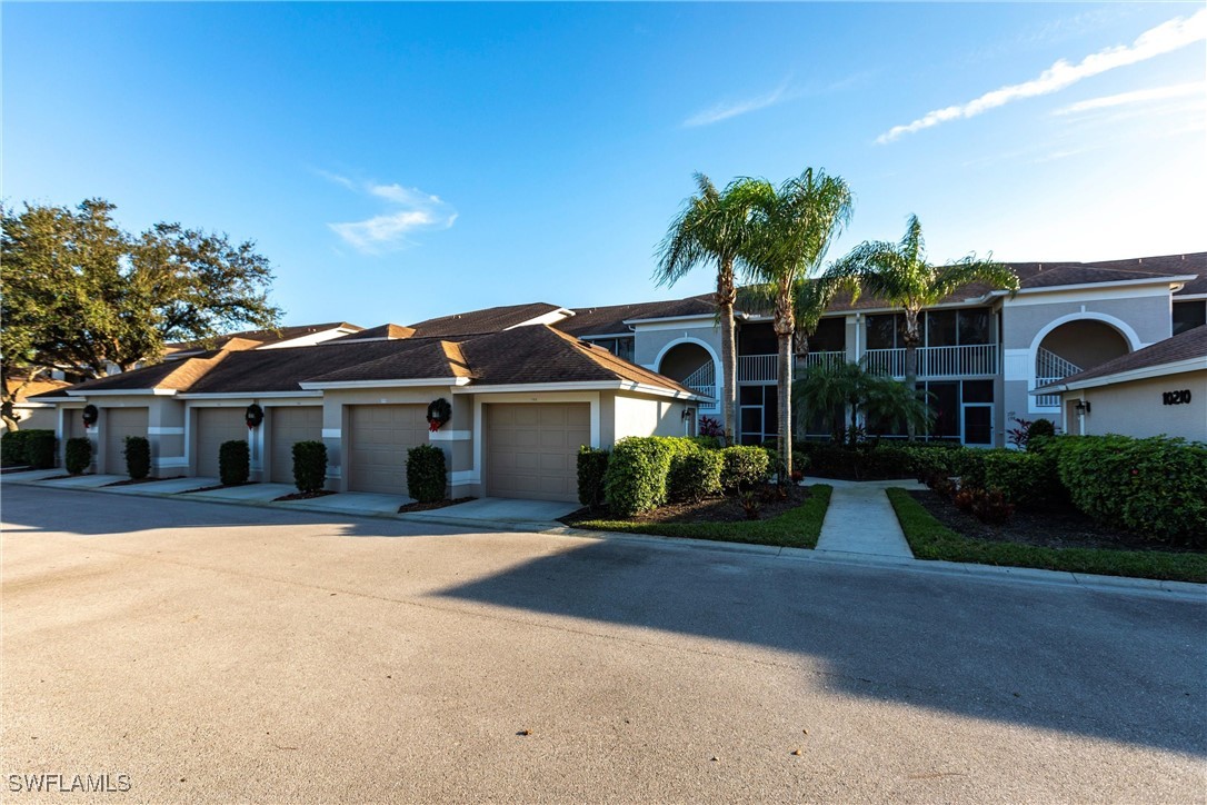 10210 Washingtonia Palm WAY 1723