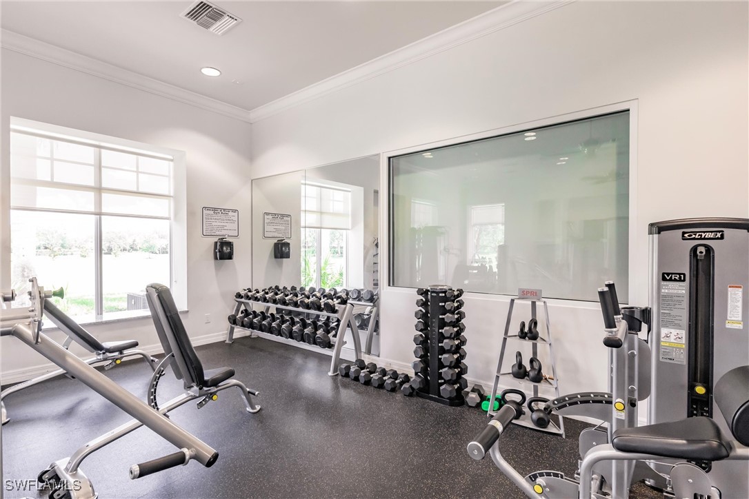 15139 Ligustrum LN