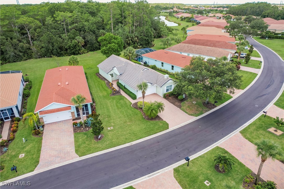 15139 Ligustrum LN