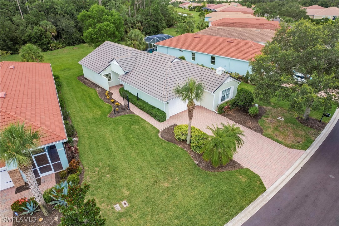 15139 Ligustrum LN
