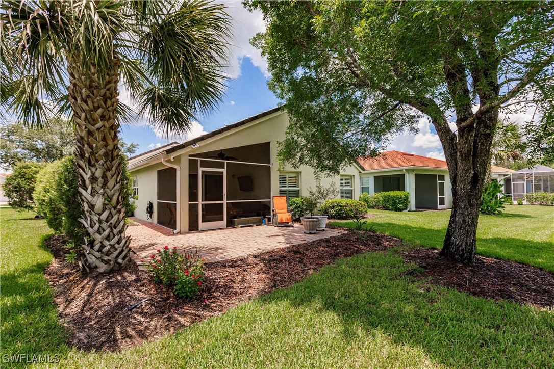 15139 Ligustrum LN