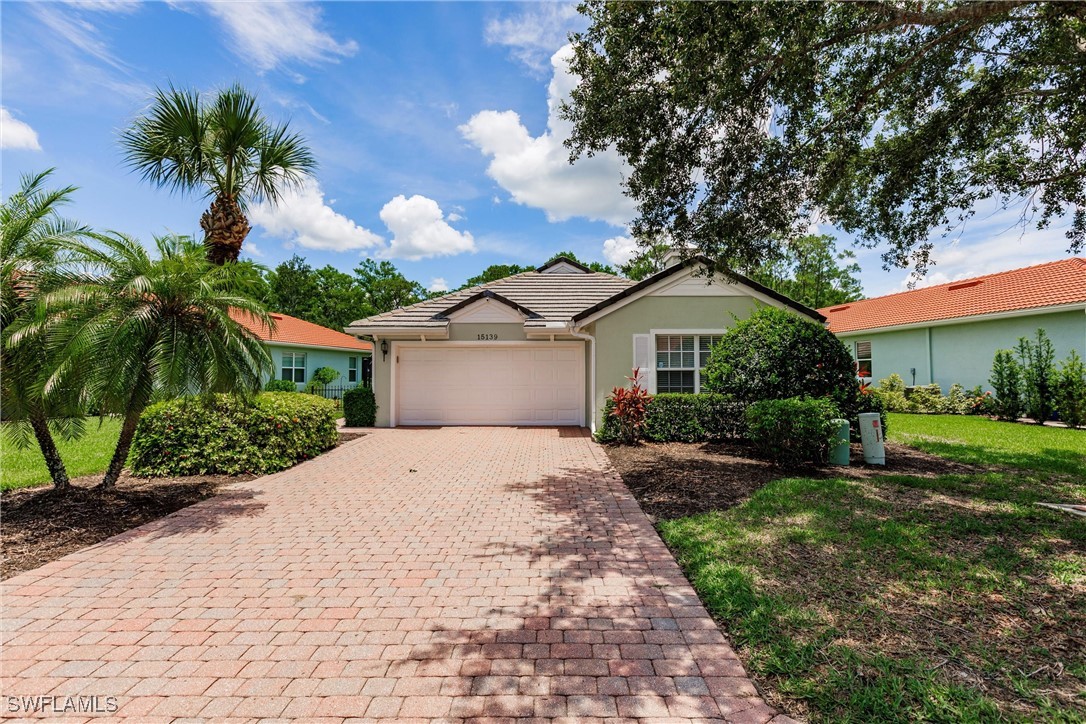 15139 Ligustrum LN
