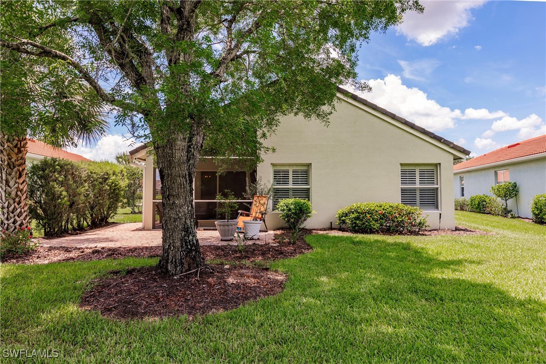 15139 Ligustrum LN