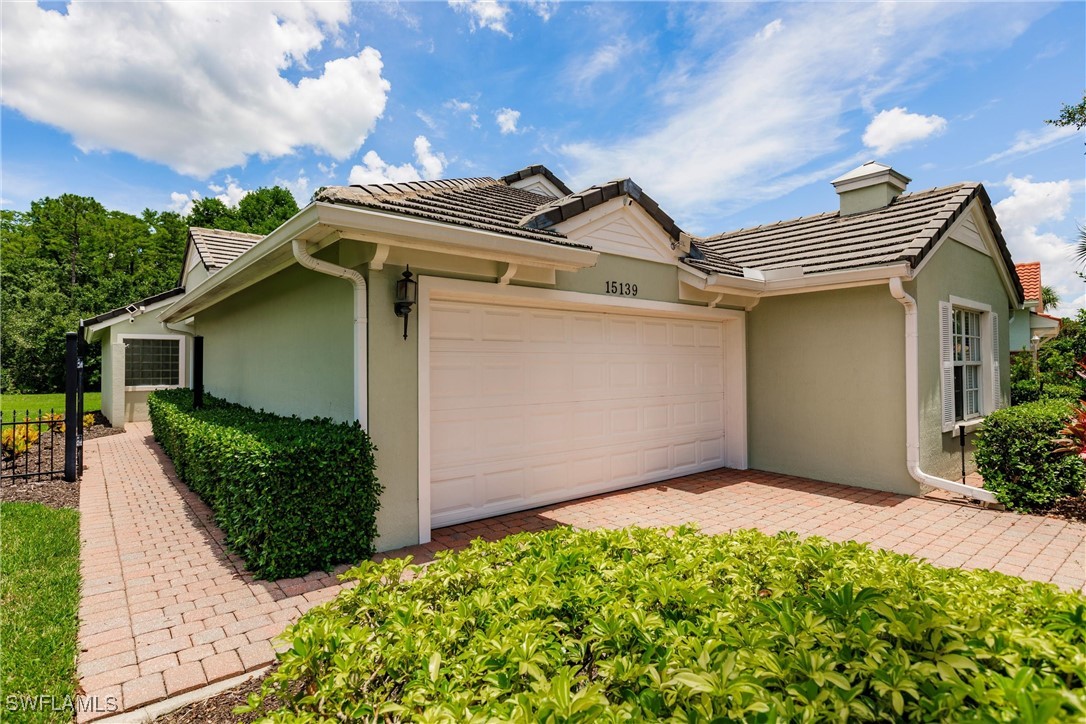 15139 Ligustrum LN