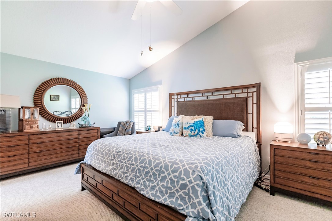 15139 Ligustrum LN