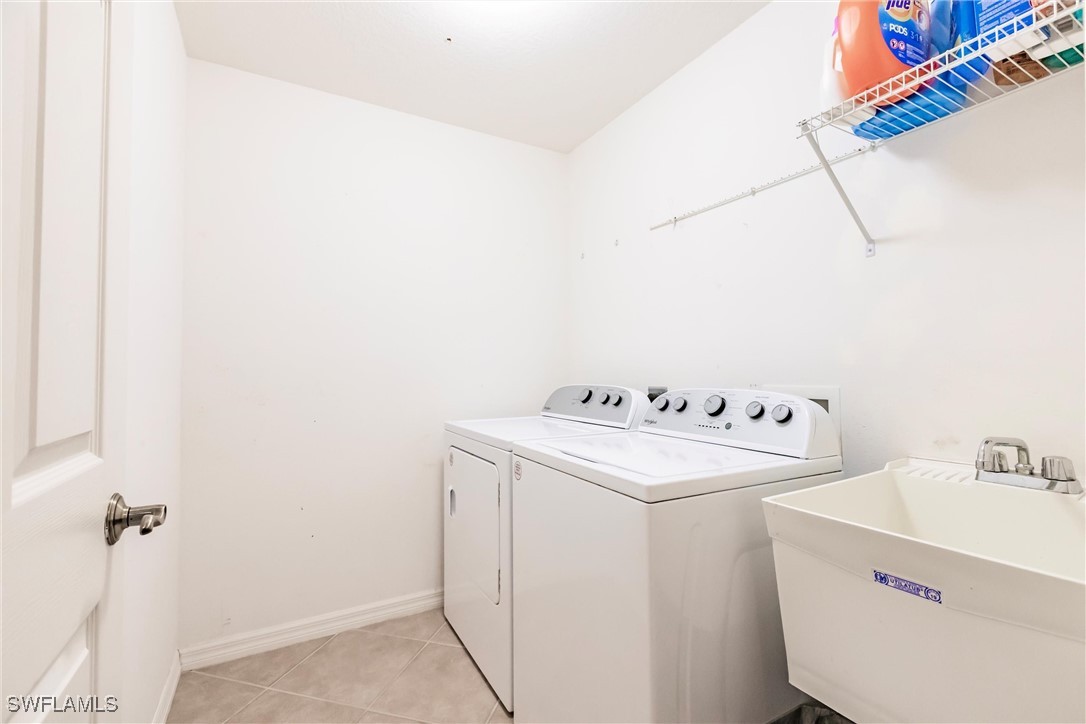 15139 Ligustrum LN