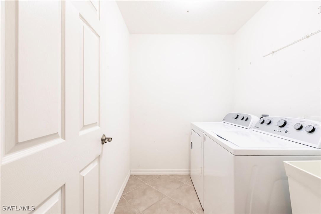 15139 Ligustrum LN