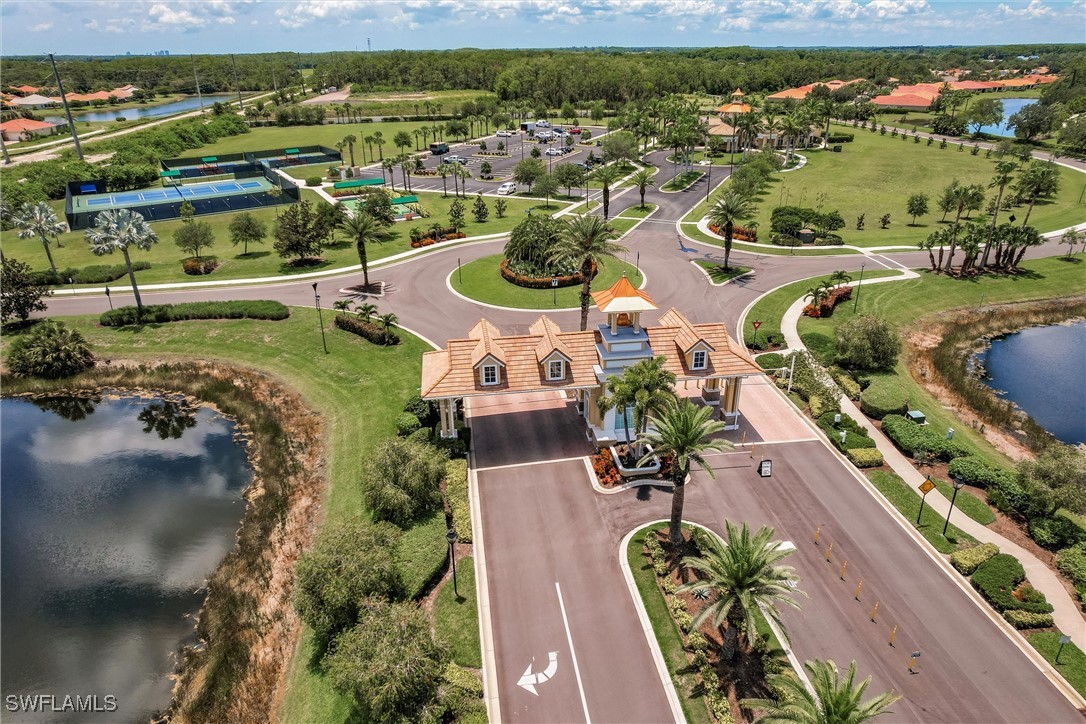 15139 Ligustrum LN
