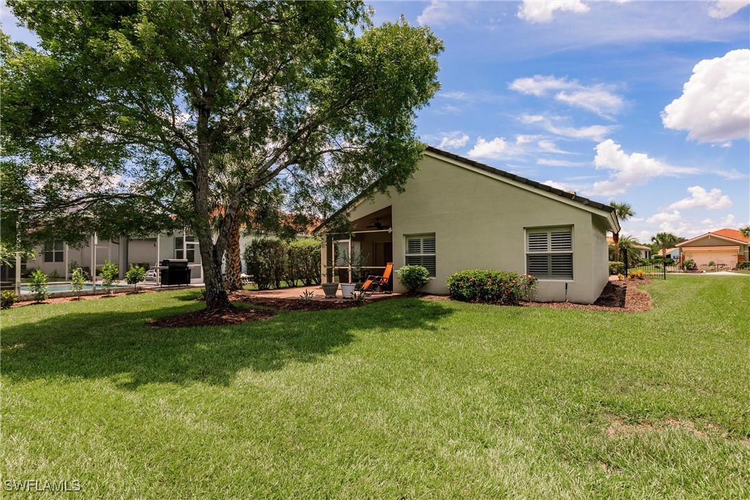 15139 Ligustrum LN