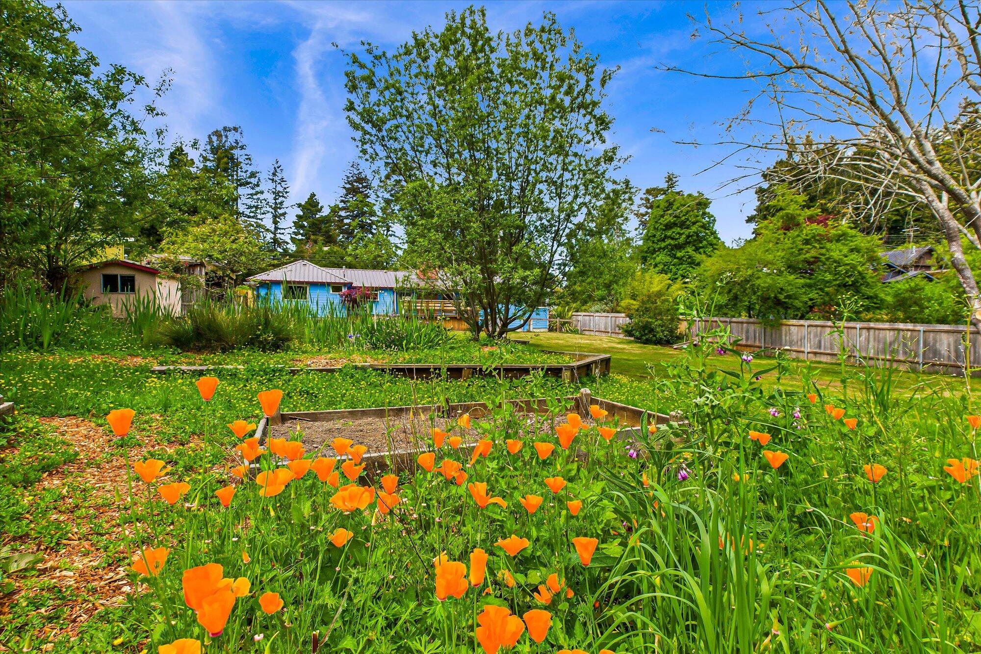 1854 Golf Course Road