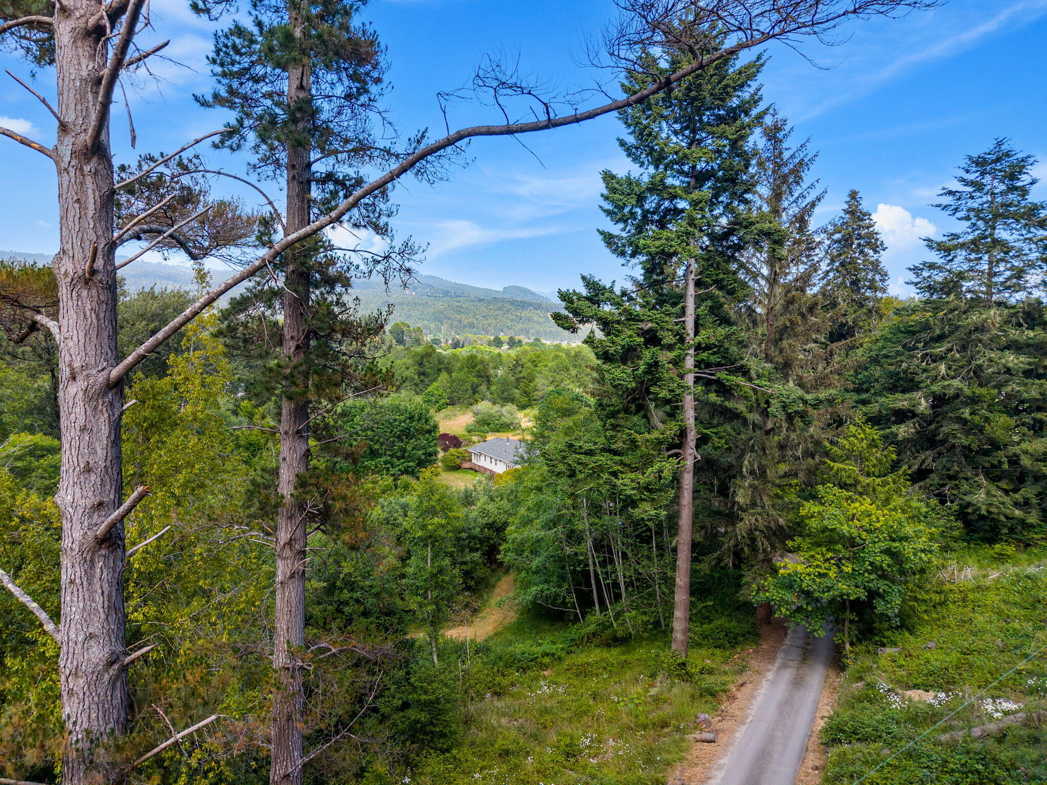 1035 Warren Creek Road