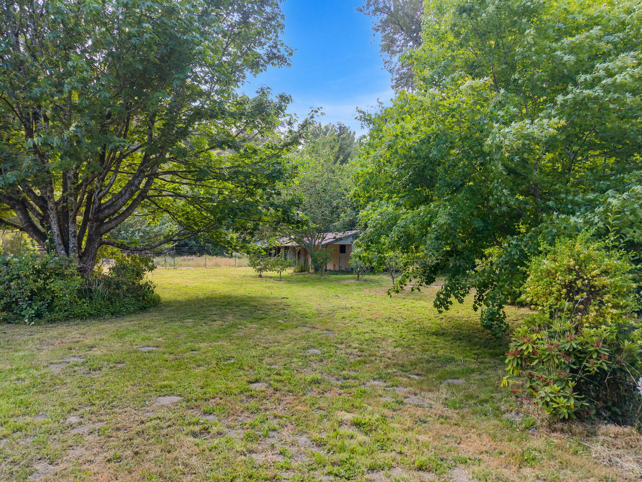 1035 Warren Creek Road