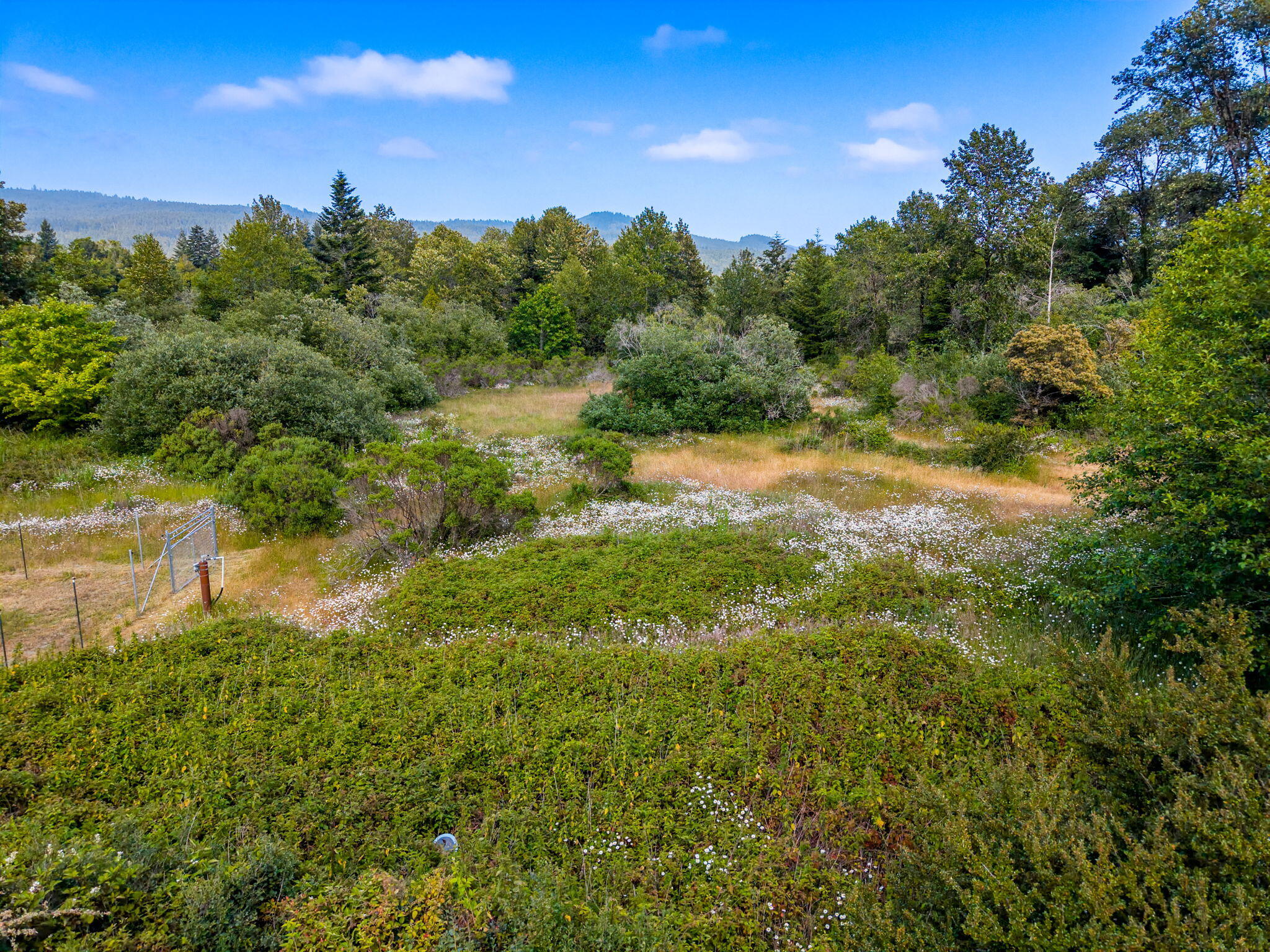 1035 Warren Creek Road