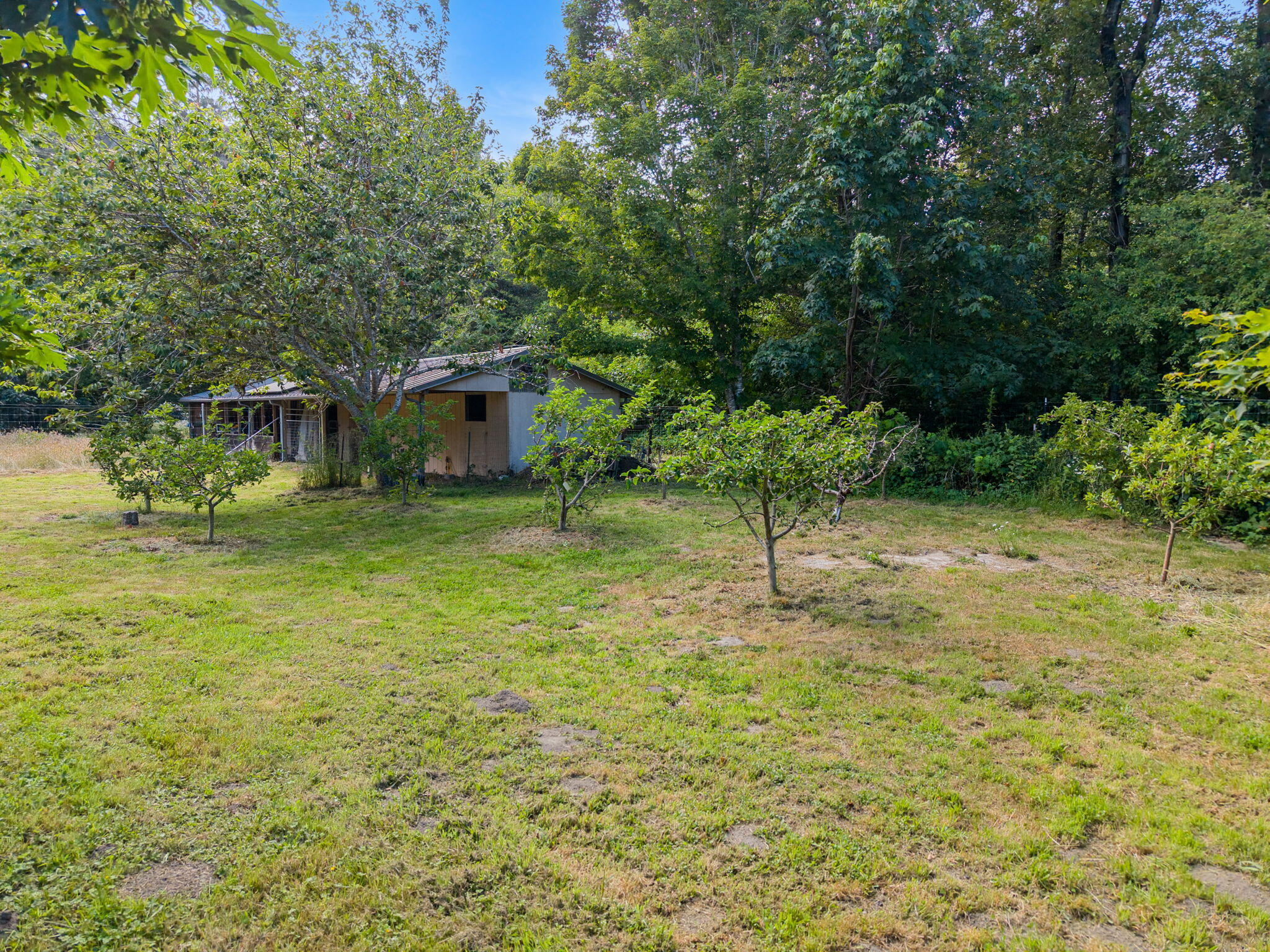 1035 Warren Creek Road