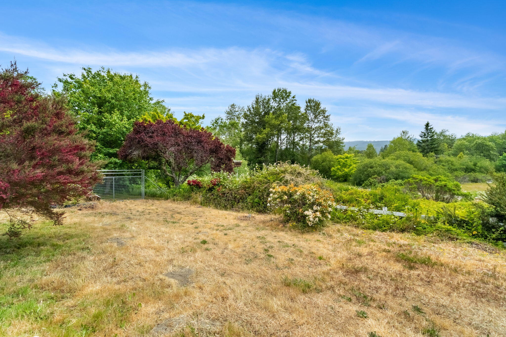 1035 Warren Creek Road