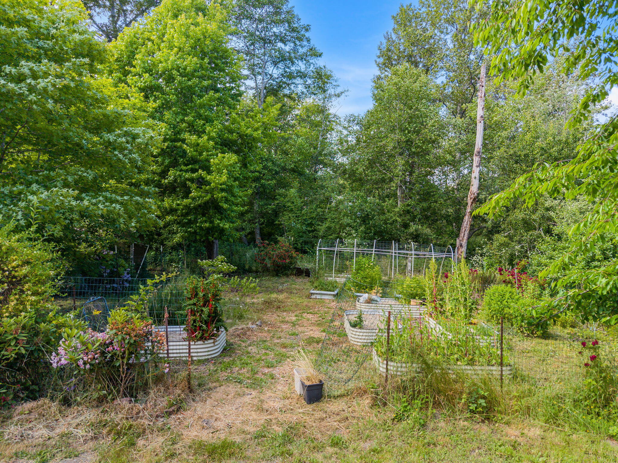 1035 Warren Creek Road
