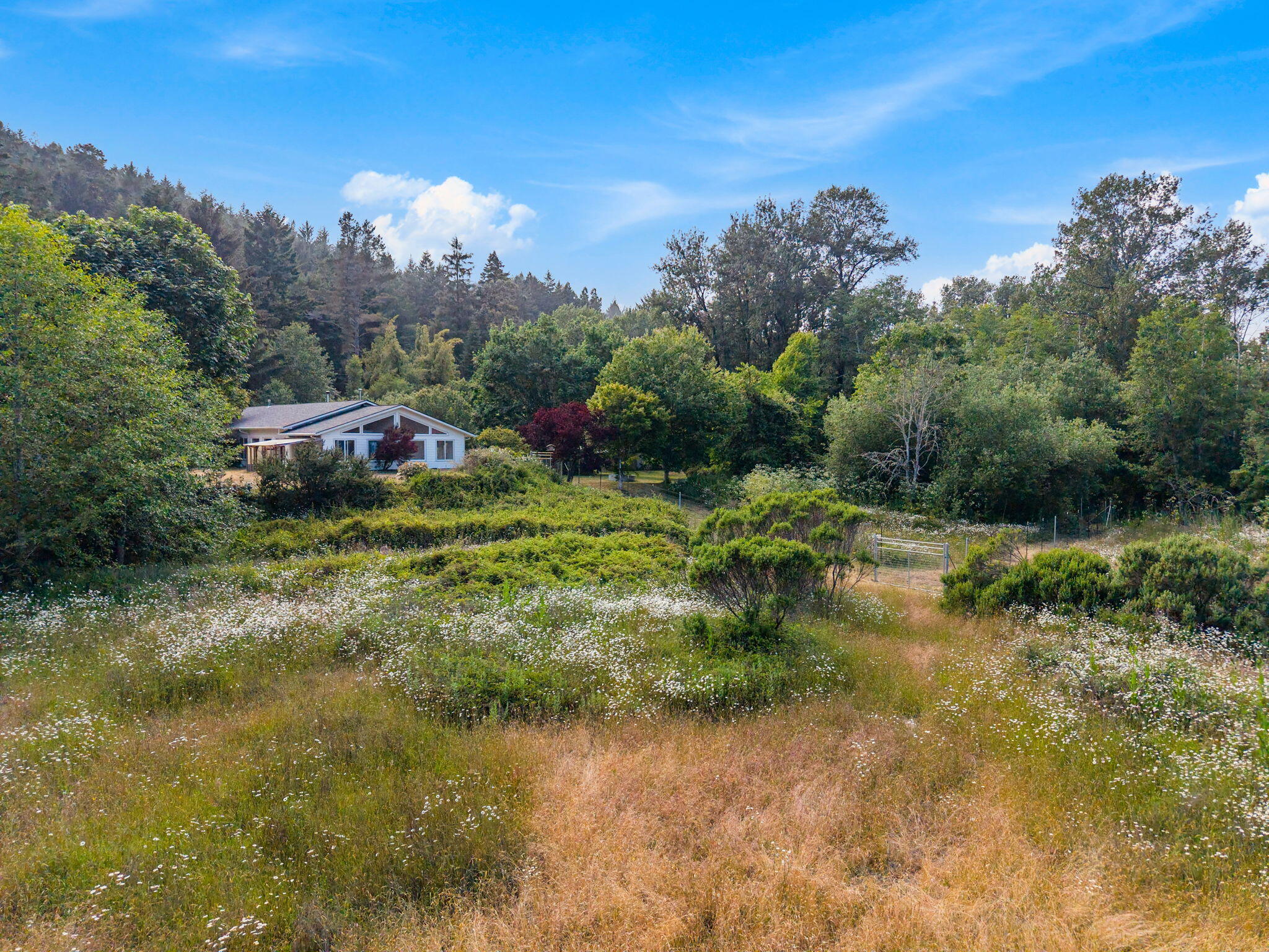 1035 Warren Creek Road