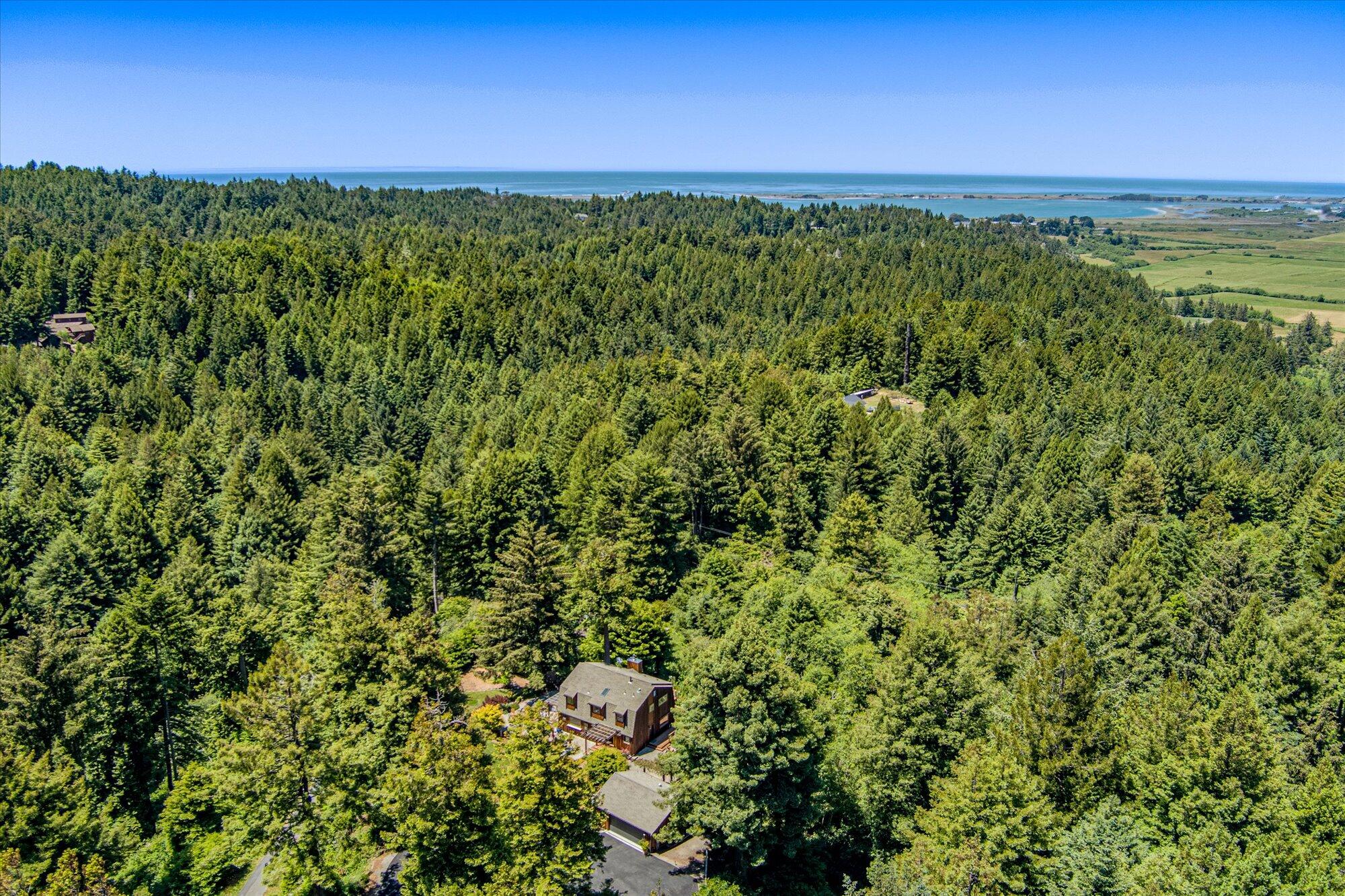 599 Tanglewood Drive