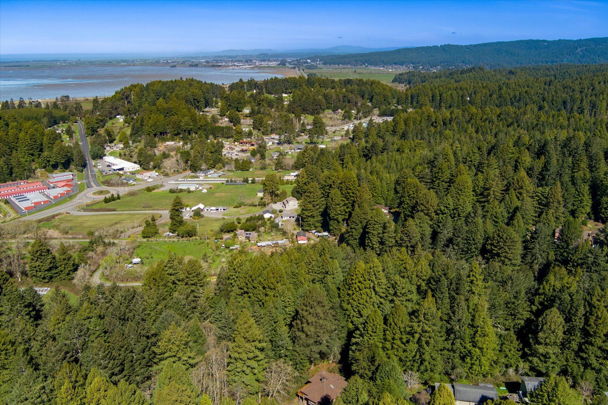 230 Blue Blossom Lane