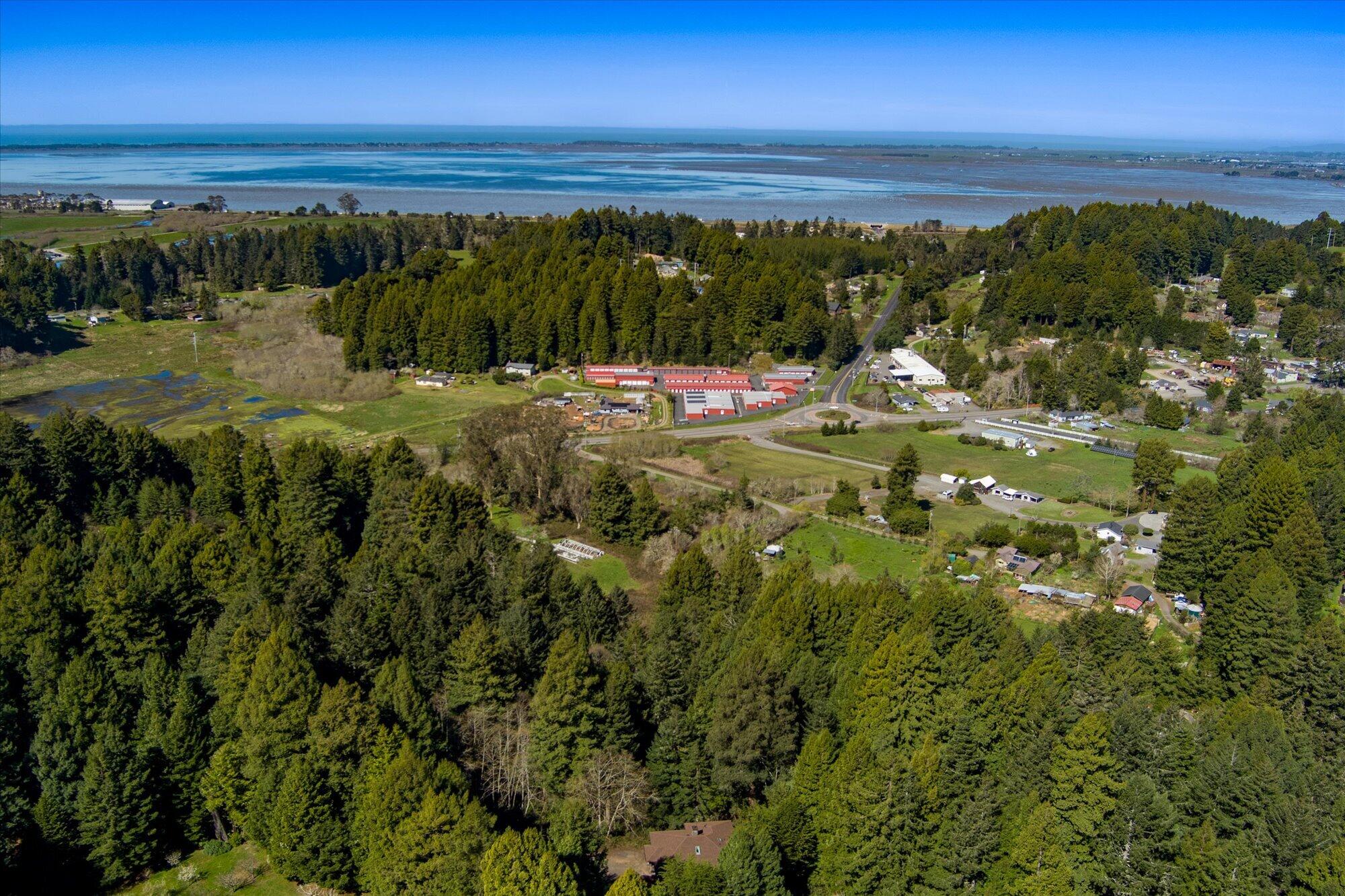 230 Blue Blossom Lane