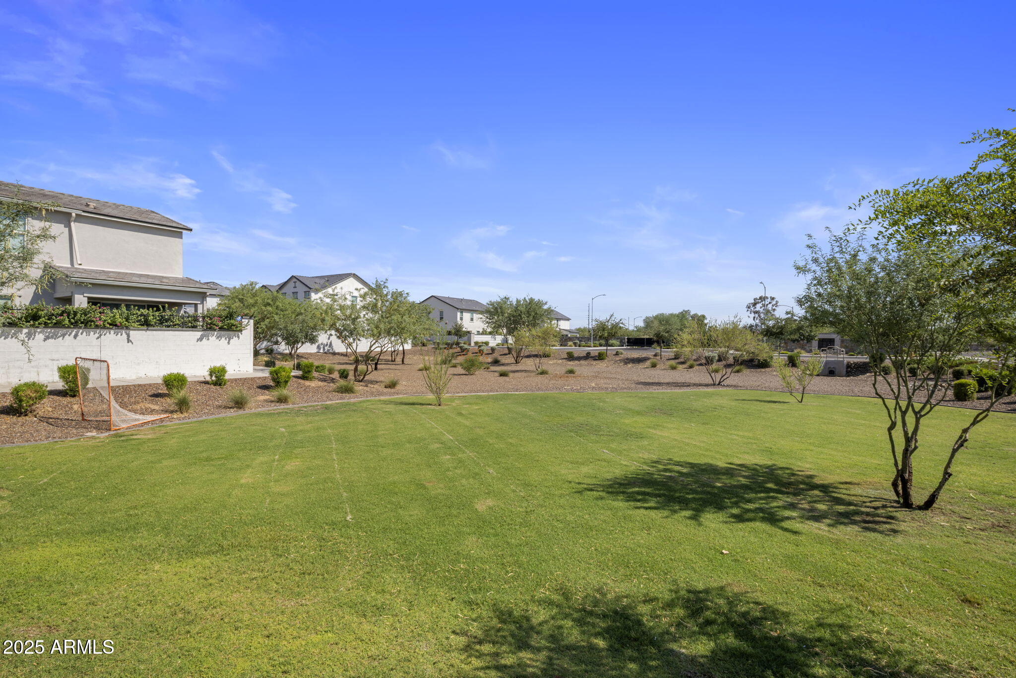 Community green space with a broad lawn, desert plants, and homes beyond.