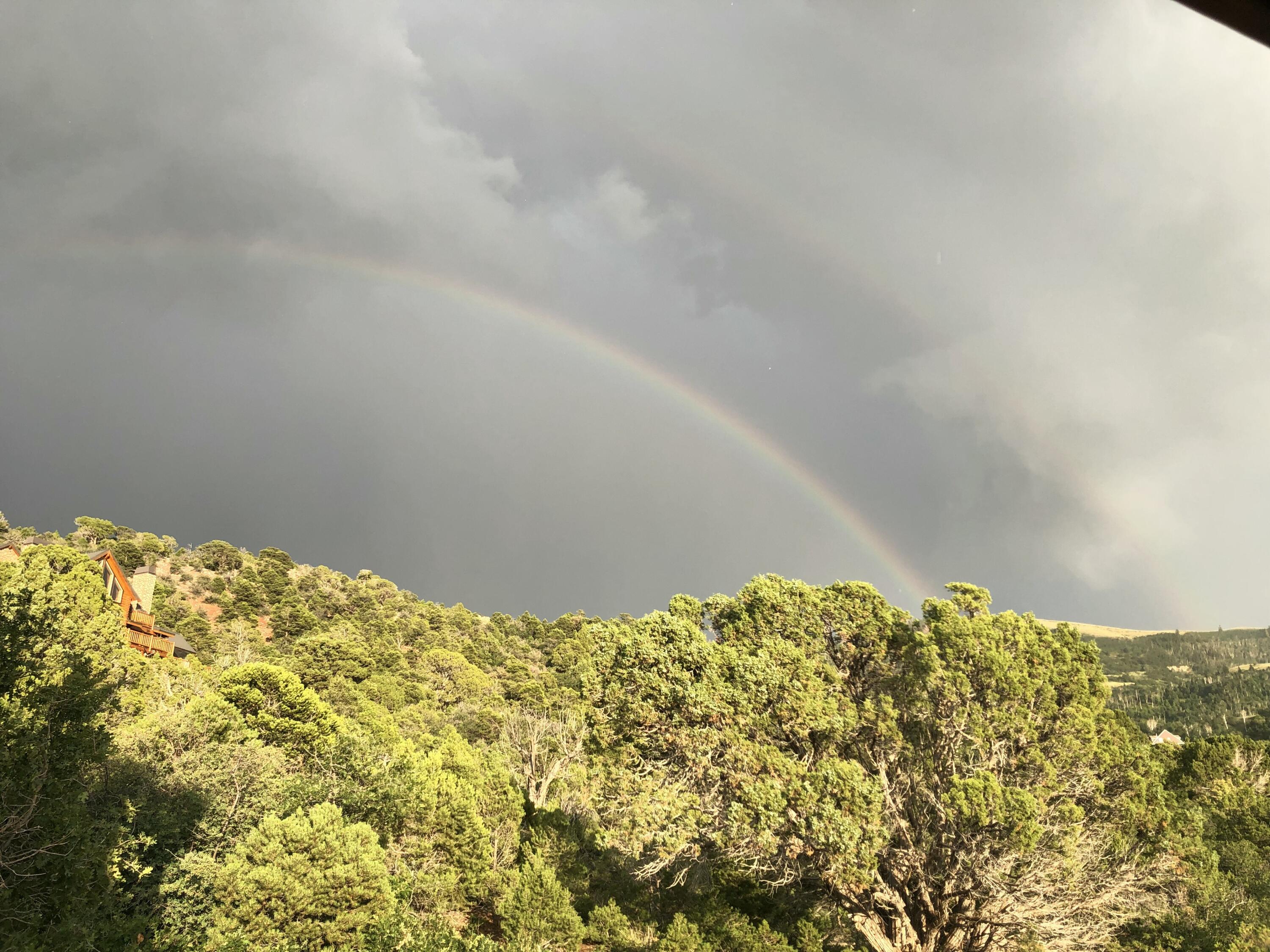 2011 S High Cedar View DR