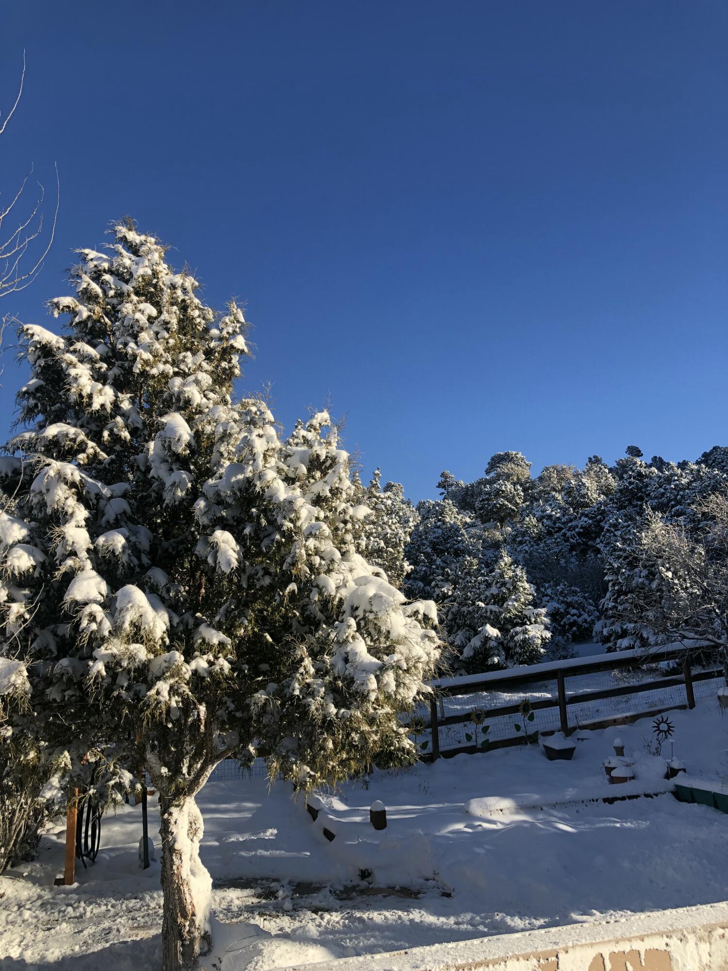 2011 S High Cedar View DR