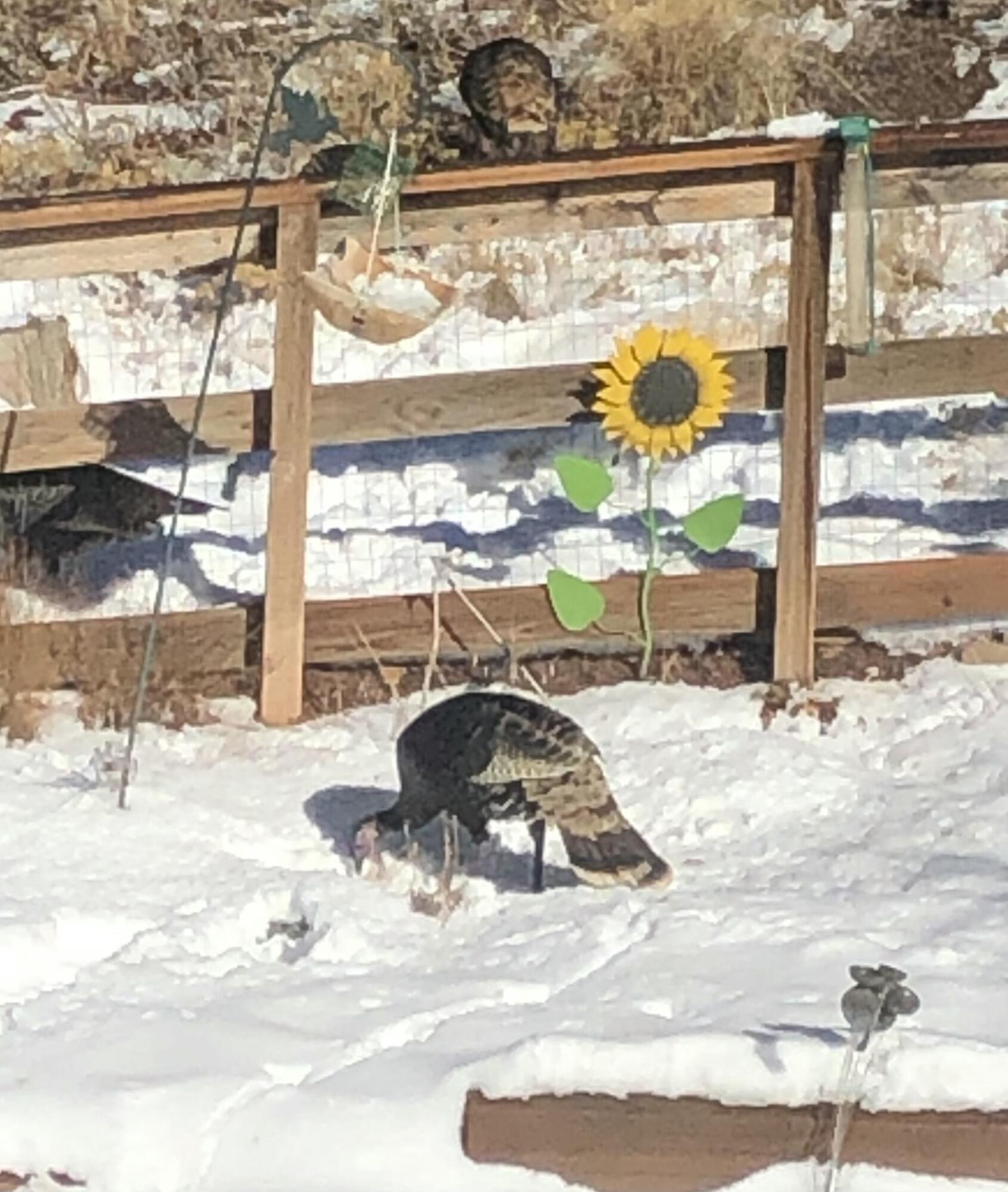 2011 S High Cedar View DR