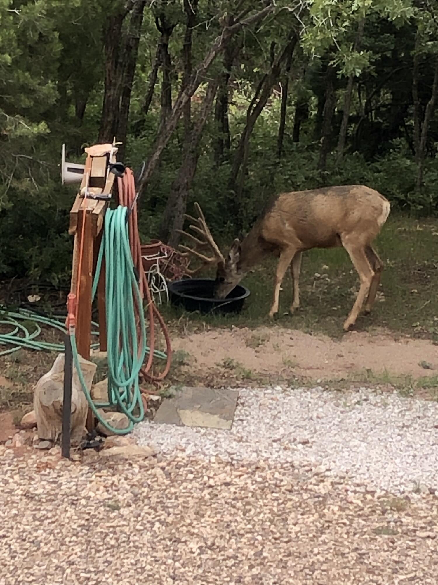 2011 S High Cedar View DR