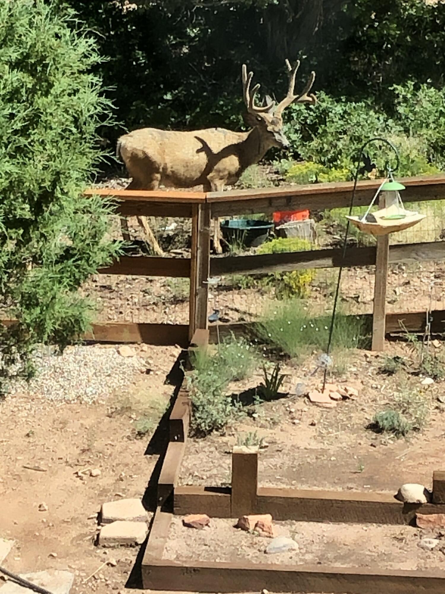 2011 S High Cedar View DR