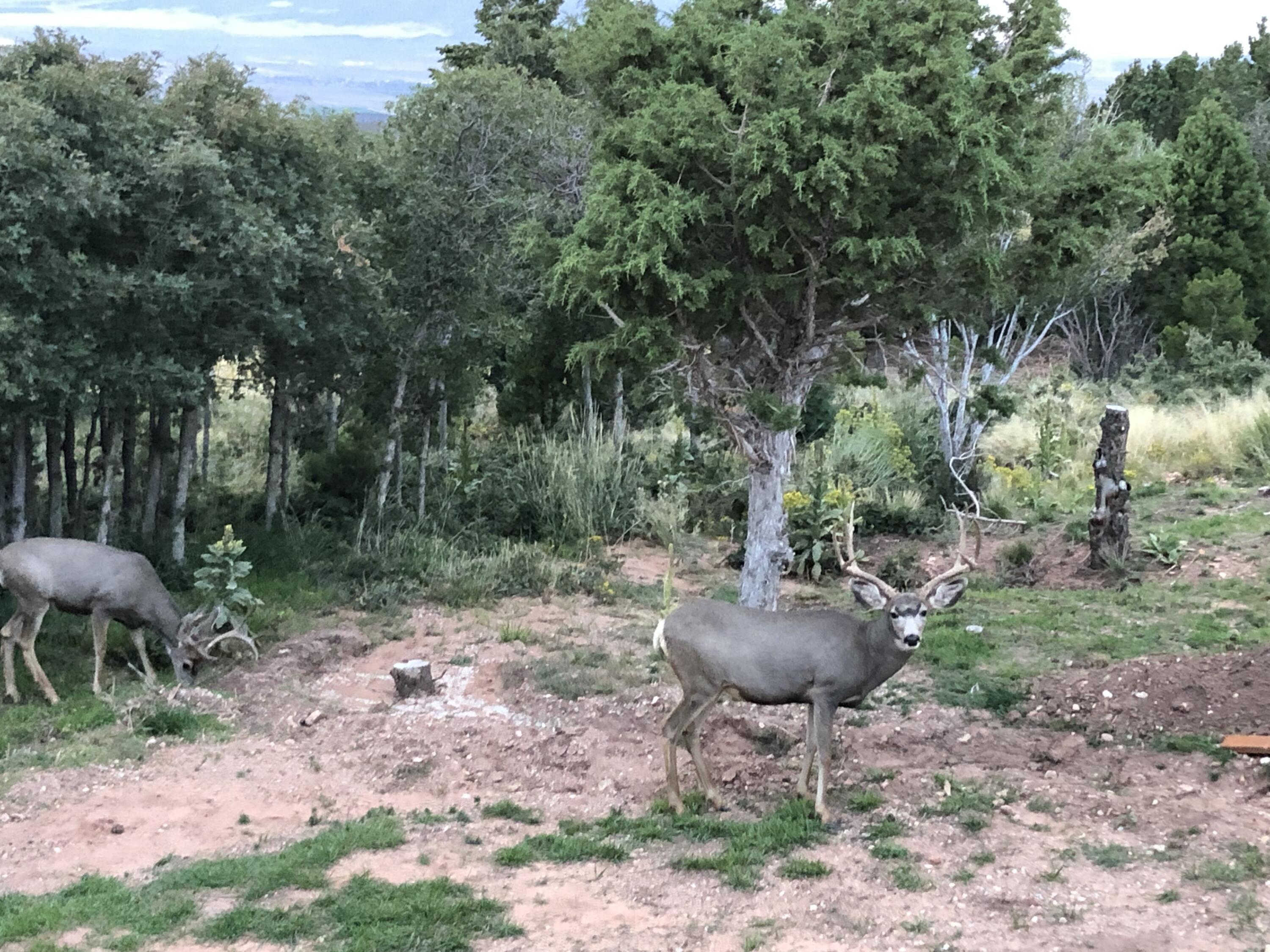 2011 S High Cedar View DR