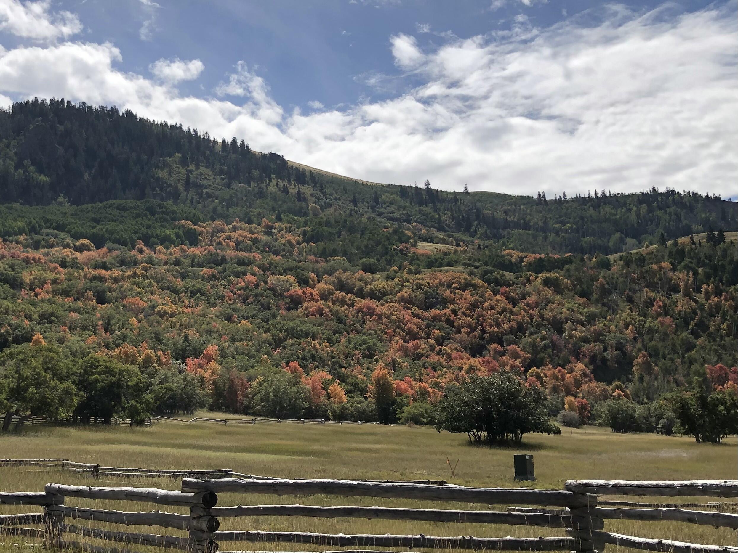 2011 S High Cedar View DR