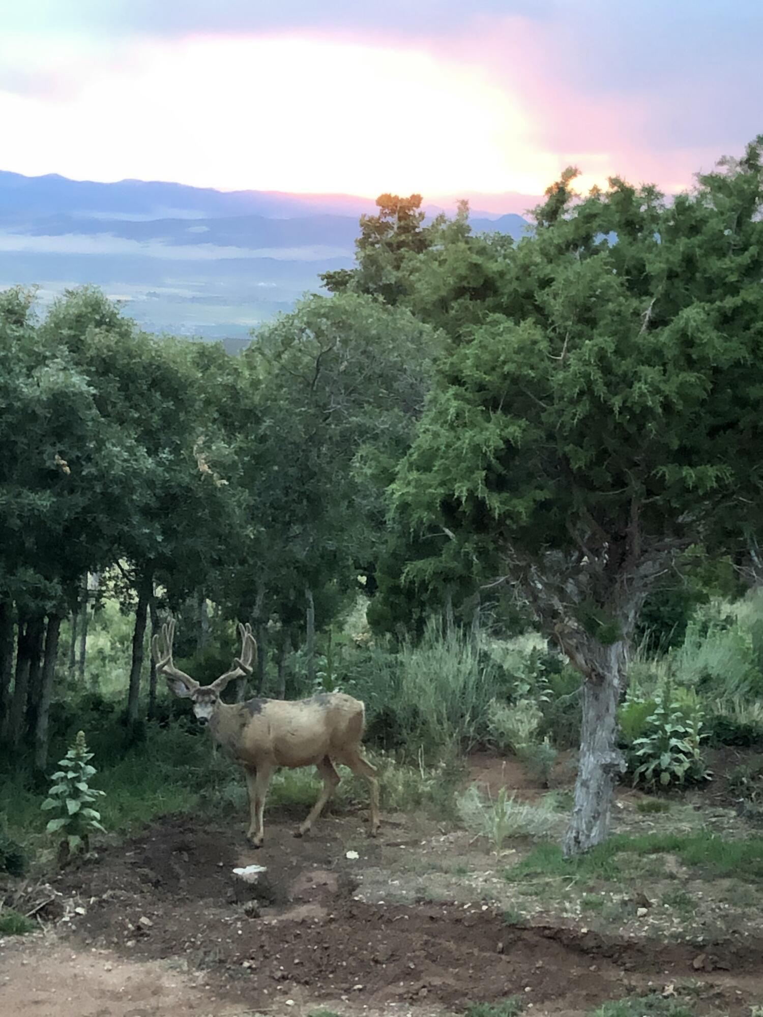 2011 S High Cedar View DR