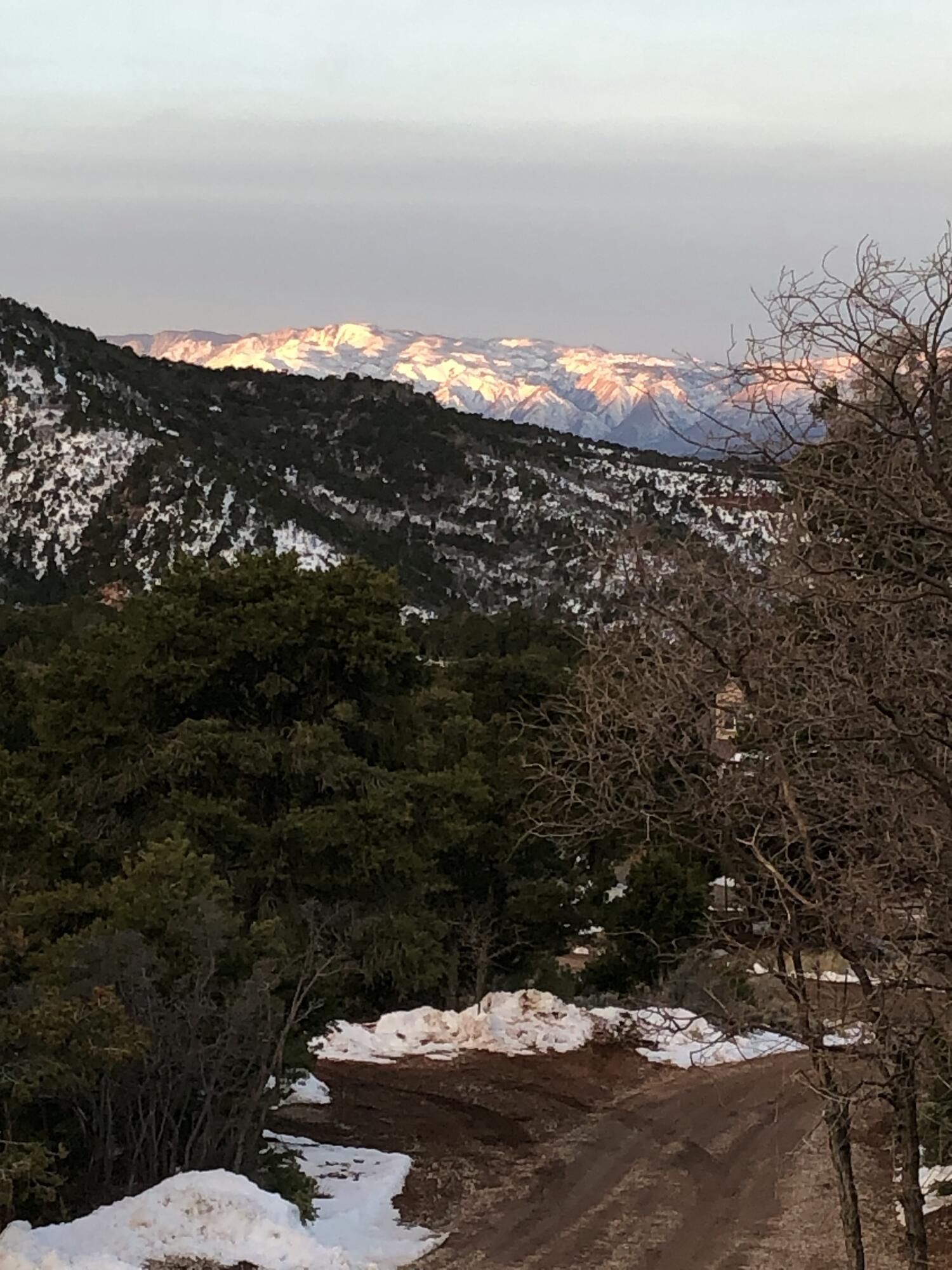 2011 S High Cedar View DR