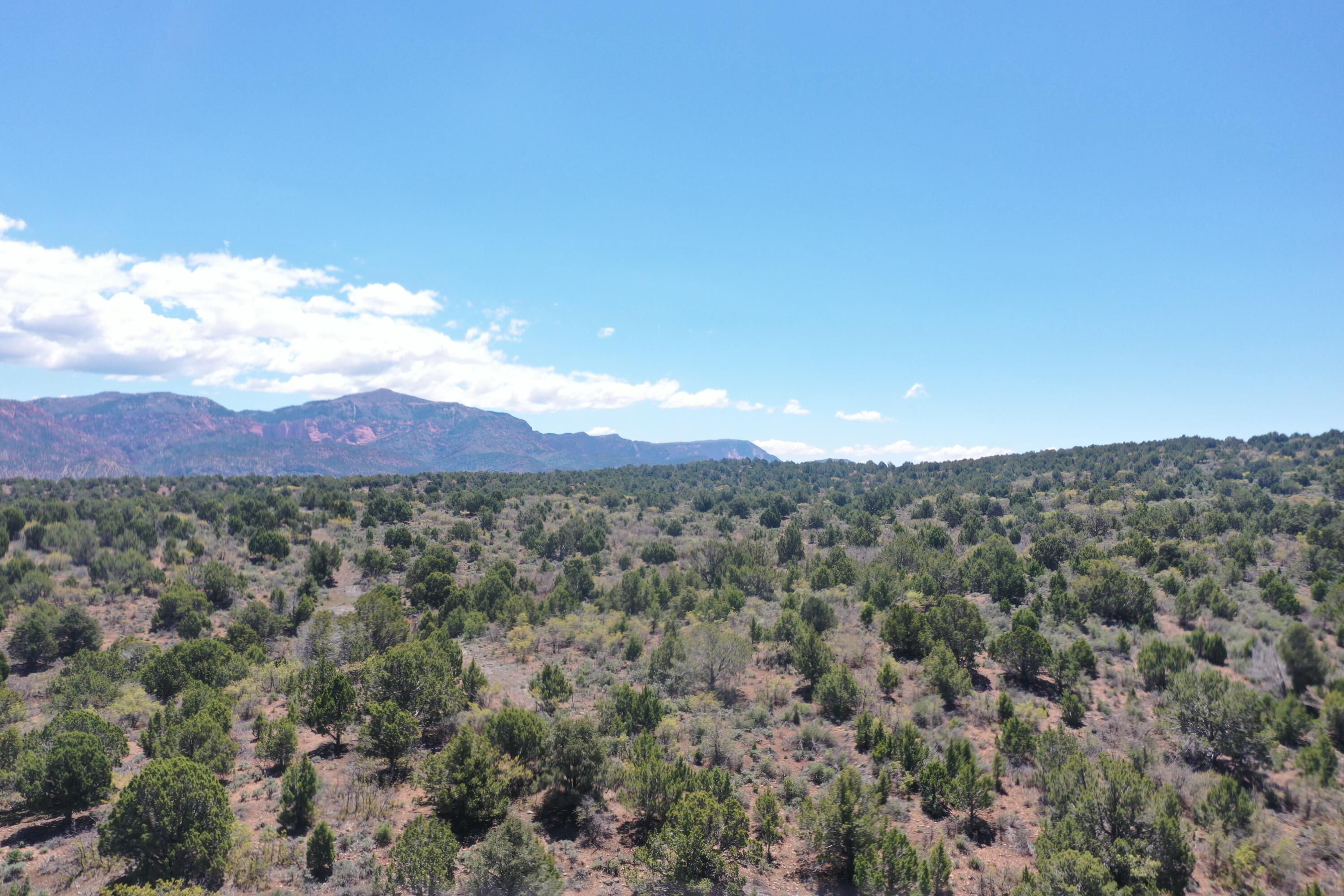 Lot 23, Harmony Mountain Ranch