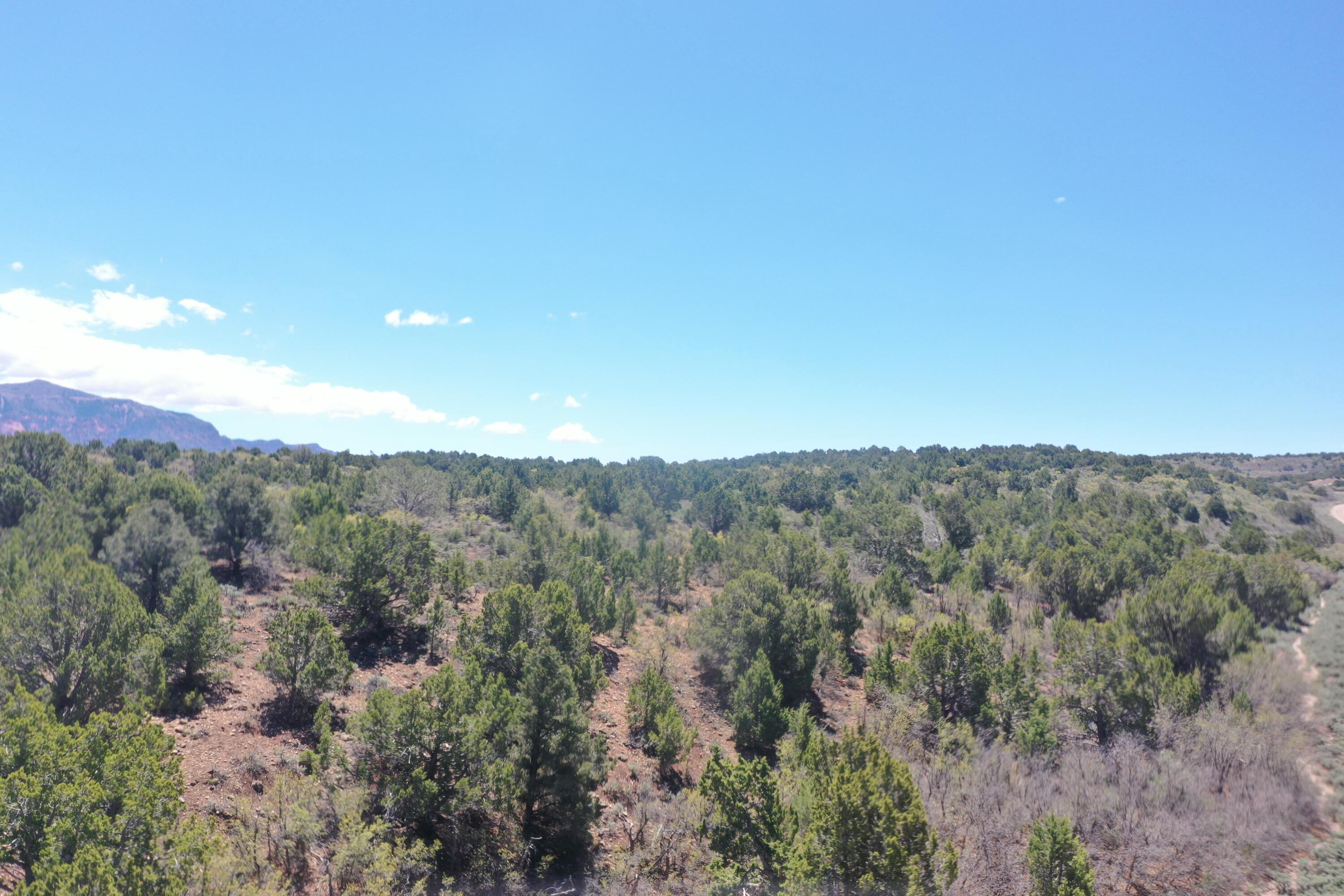 Lot 23, Harmony Mountain Ranch