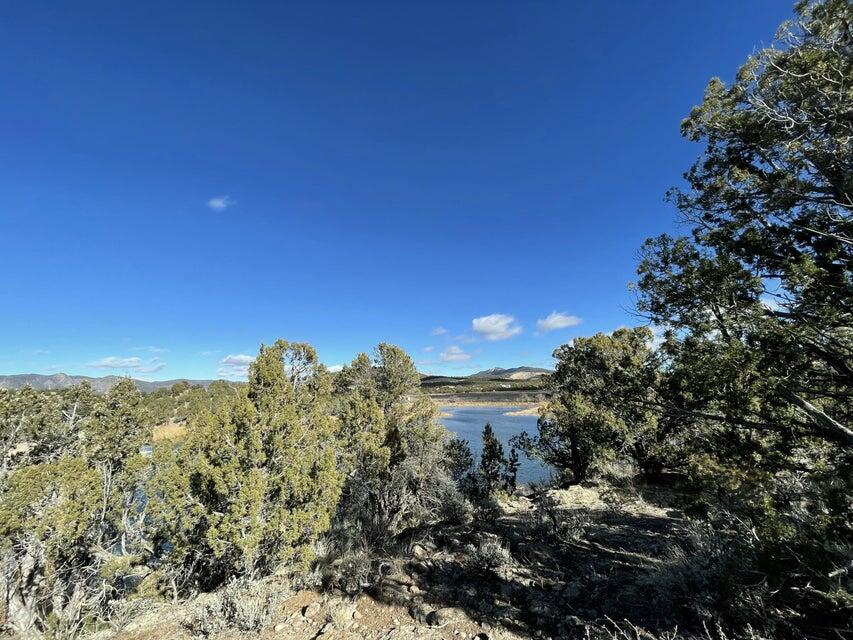 Lot 48 & 49 Pinto Creek Ranch