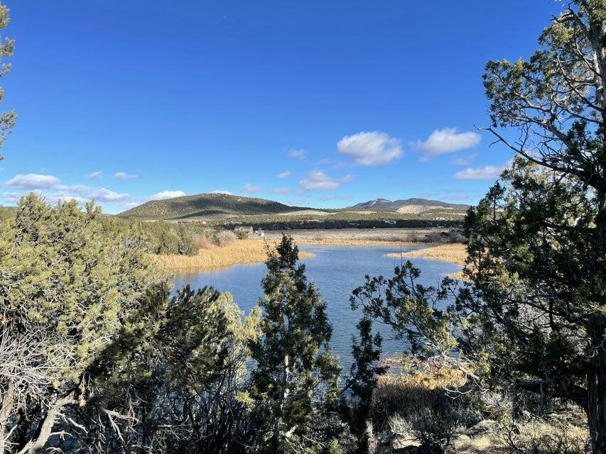 Lot 48 & 49 Pinto Creek Ranch