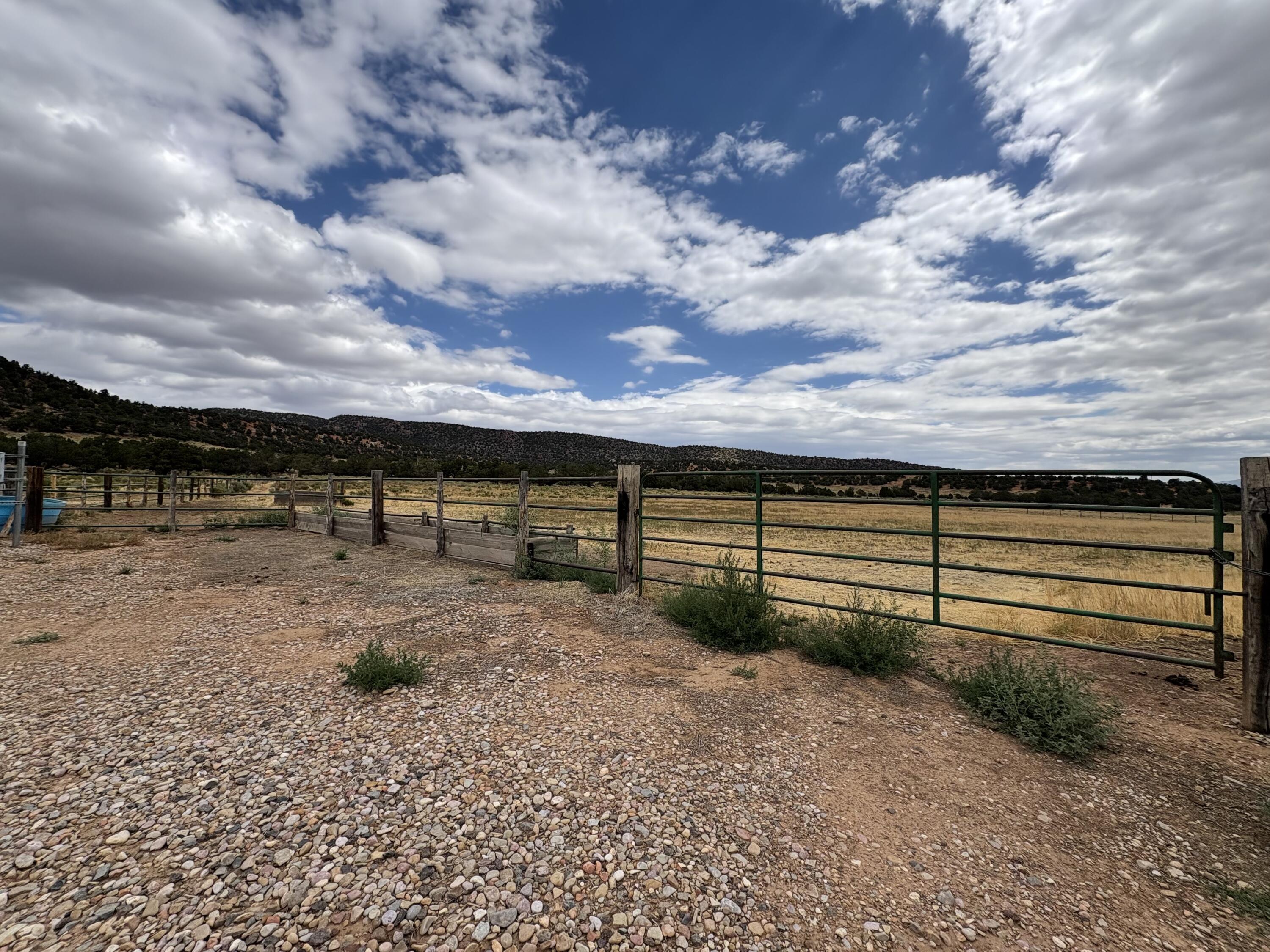 50.63 Acres HWY 56