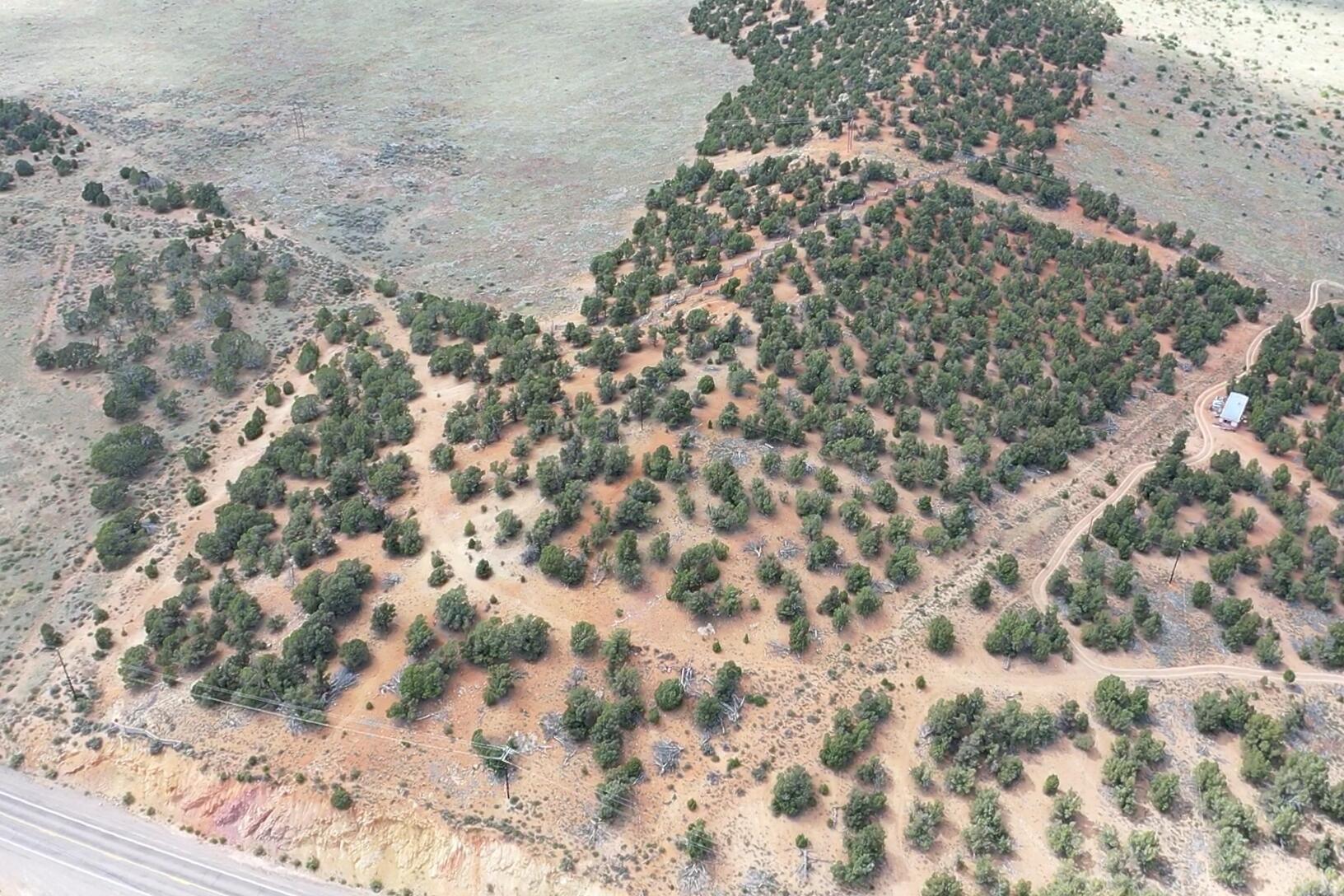 50.63 Acres HWY 56