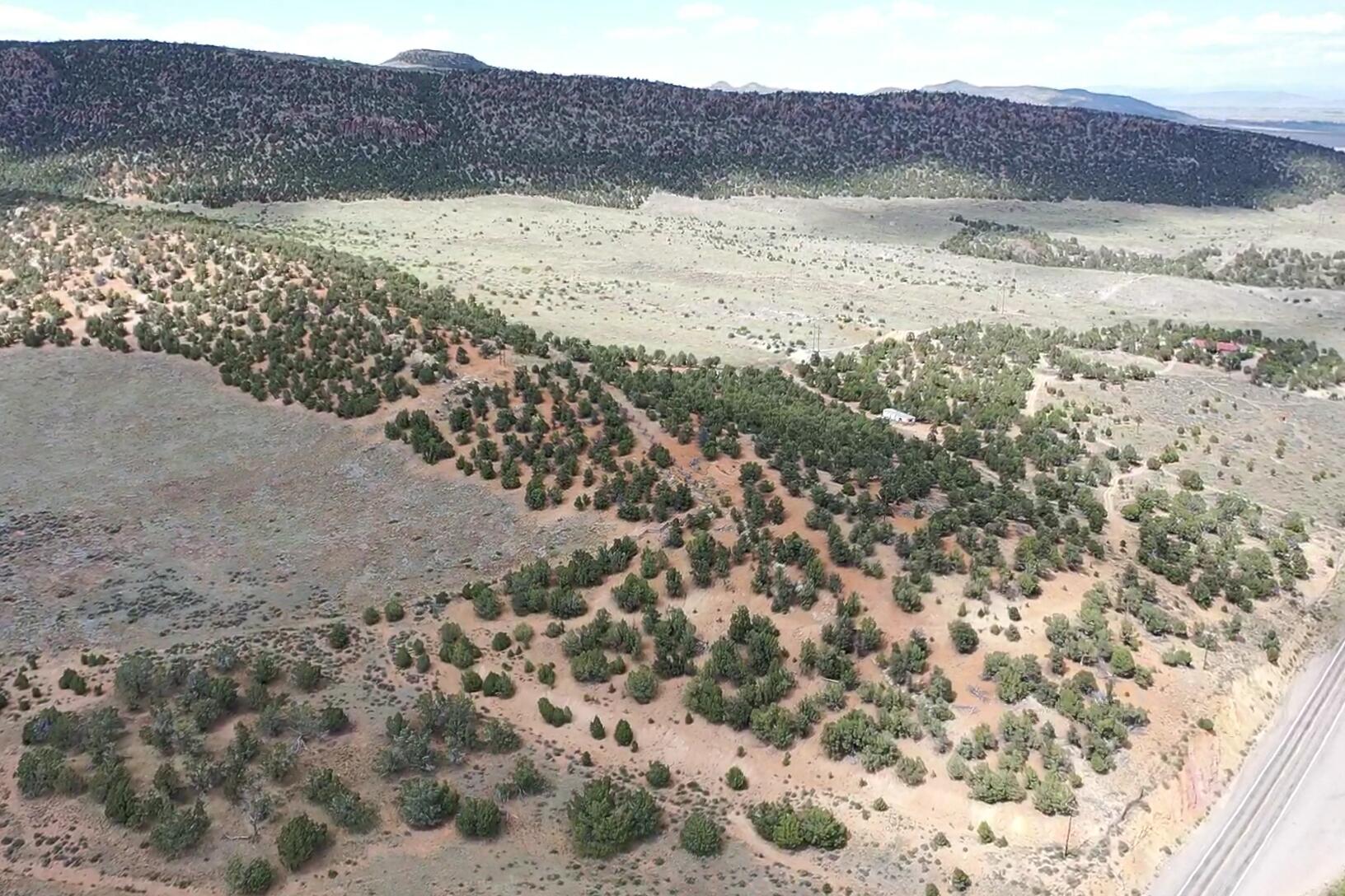 50.63 Acres HWY 56